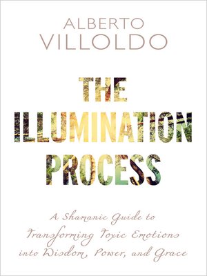 cover image of The Illumination Process